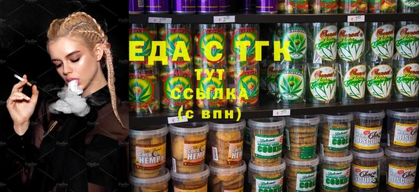 индика Надым
