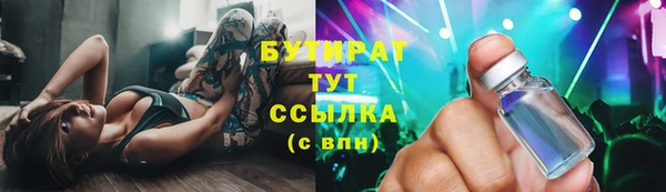 индика Надым