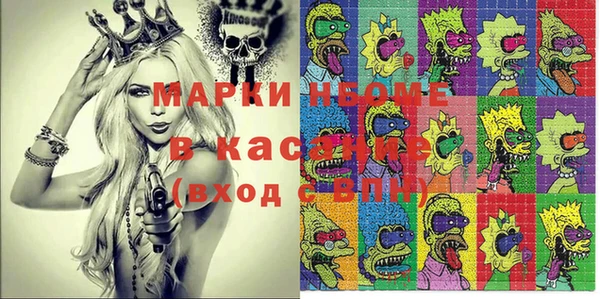 индика Надым