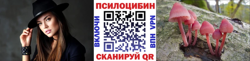 Галлюциногенные грибы прущие грибы  где купить наркоту  Циолковский 