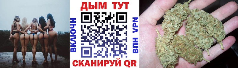 Бошки Шишки гибрид Циолковский